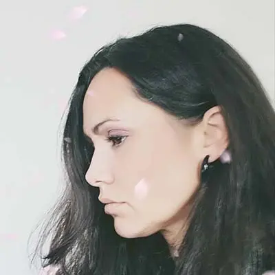 Izrada web sajtova